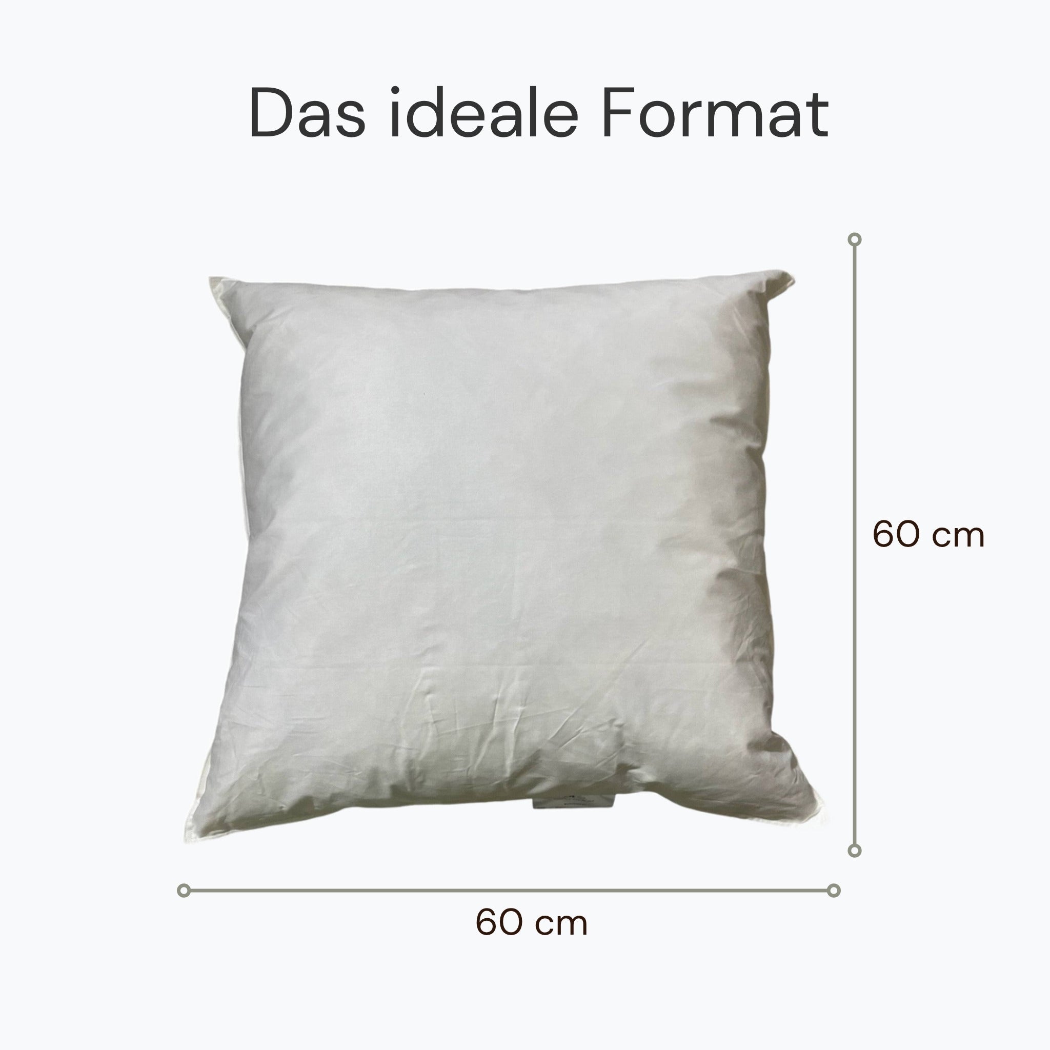 Kissenfüllung Inlett 800g/Federn 60x60 cm – WirLiebenKissen